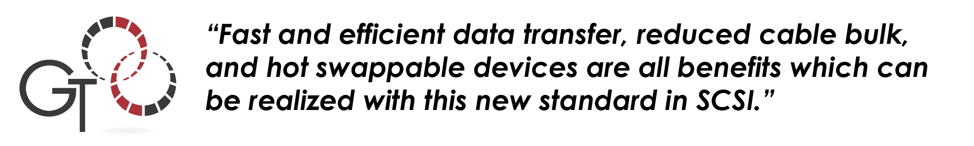 Serial Attached SCSI GigaTech Products