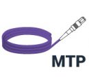 cMTP